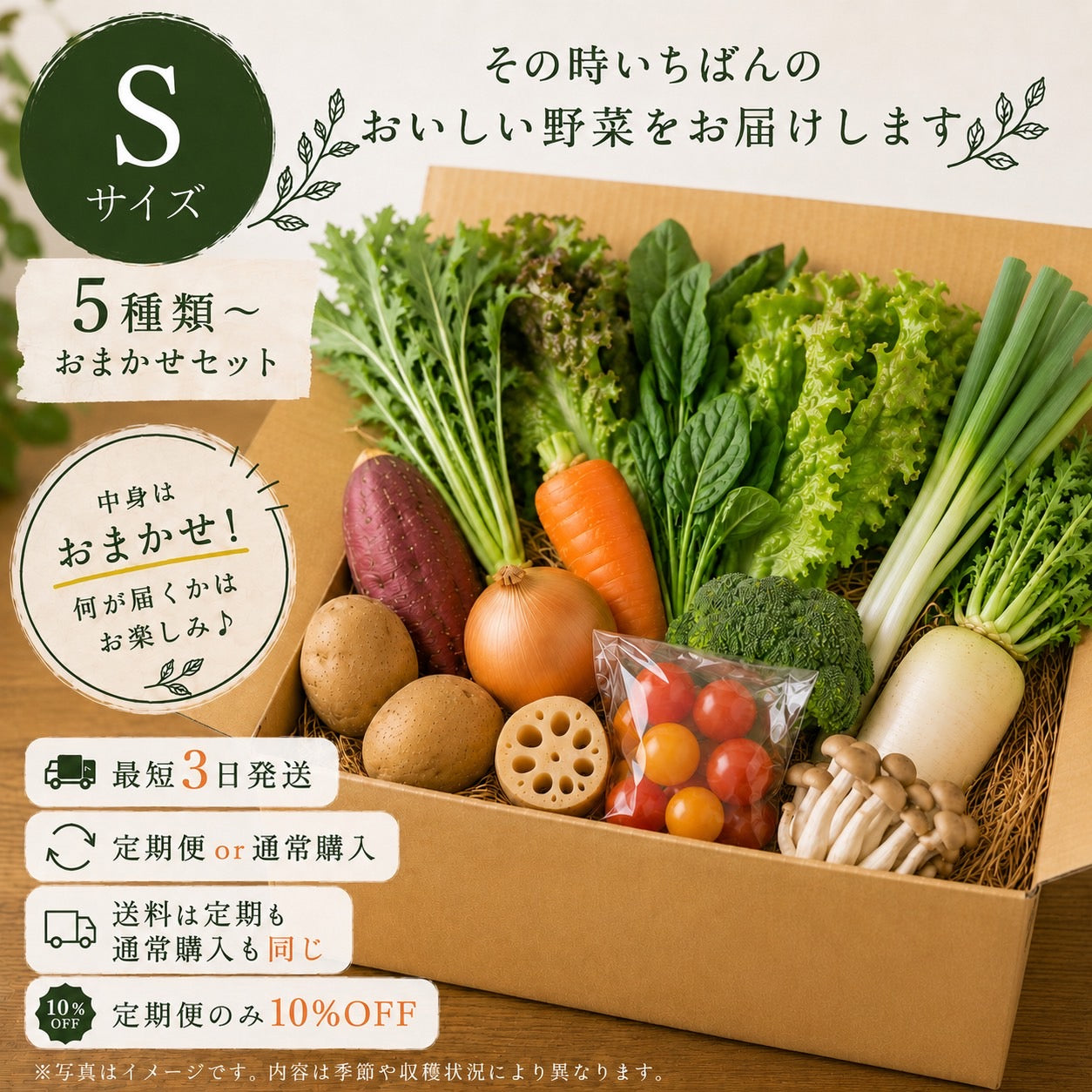 おまかせ野菜セットS【5種類~】