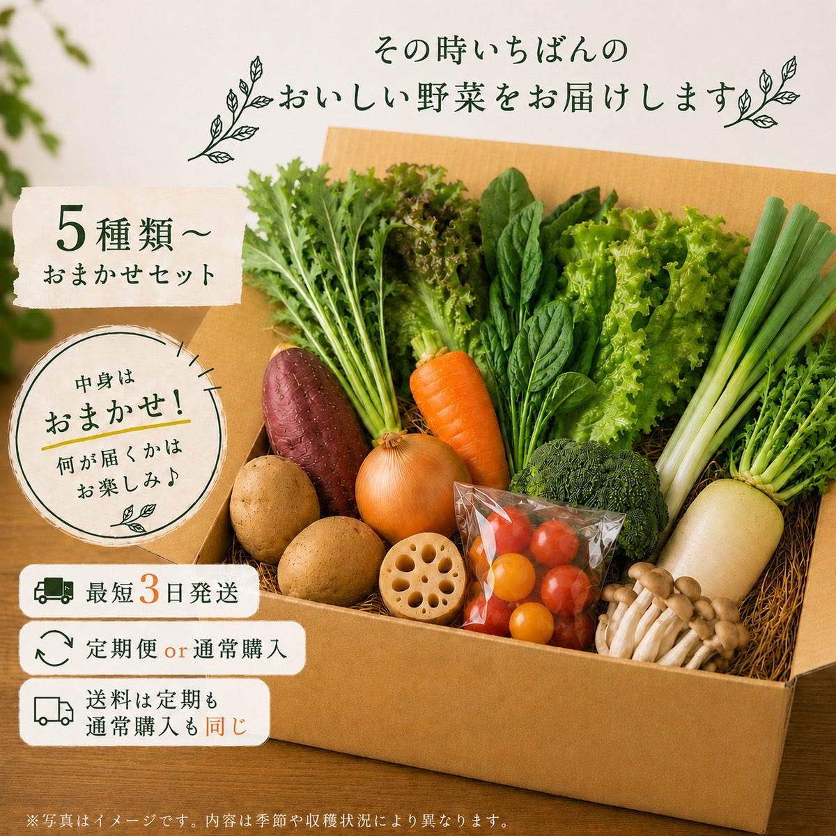 野菜の定期便