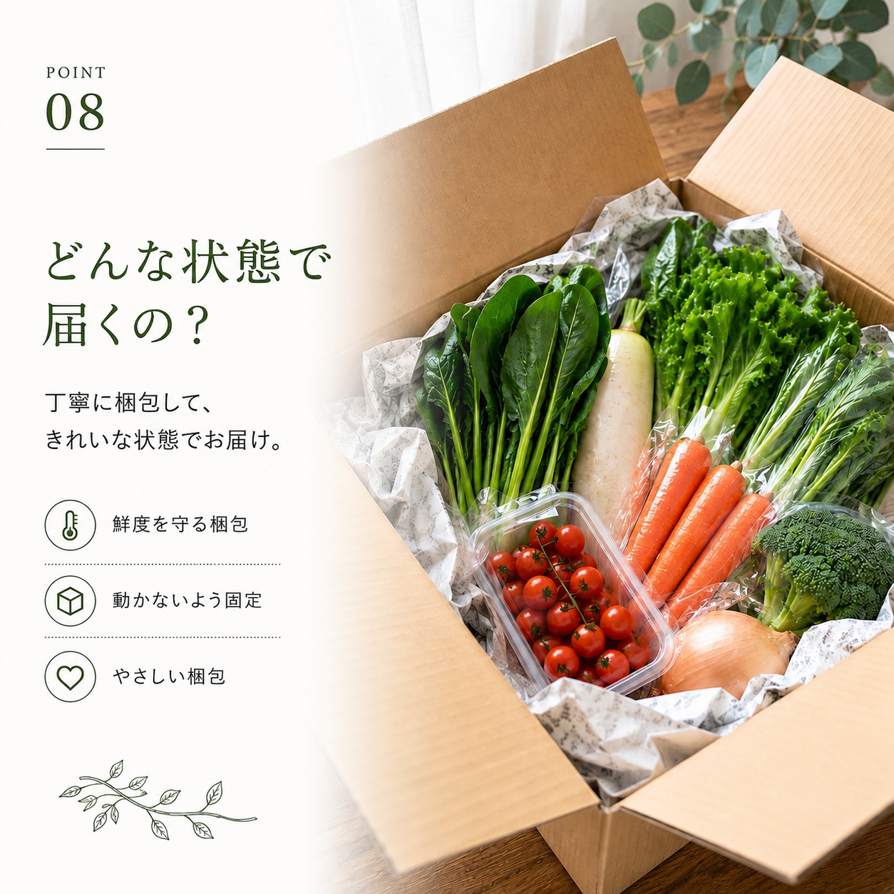 むすび日和【6種類～】