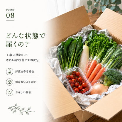 むすび日和【6種類～】