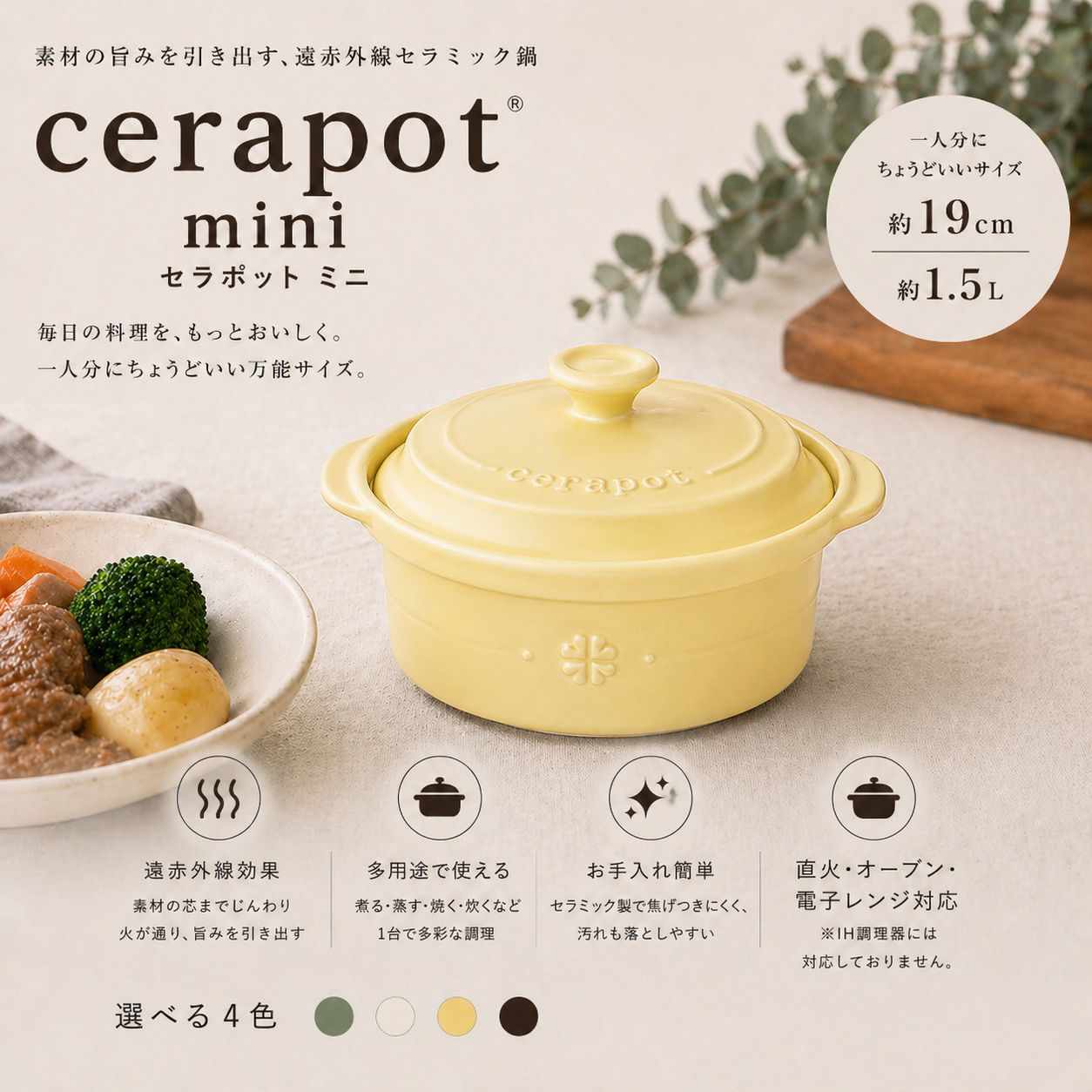 cerapot グリーン 大 4点セット カテゴリー 【公式通販】