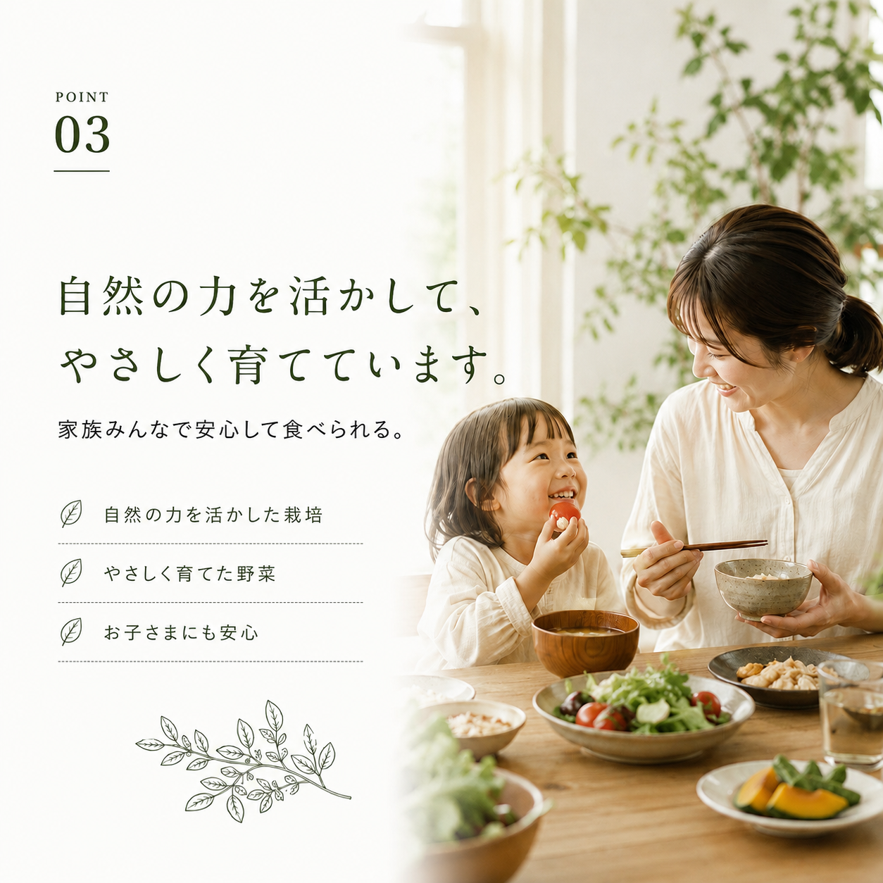 むすび日和【6種類～】