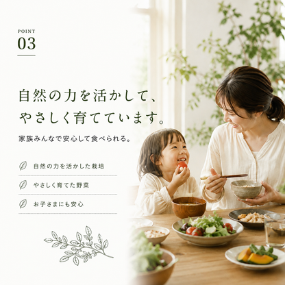 むすび日和【6種類～】