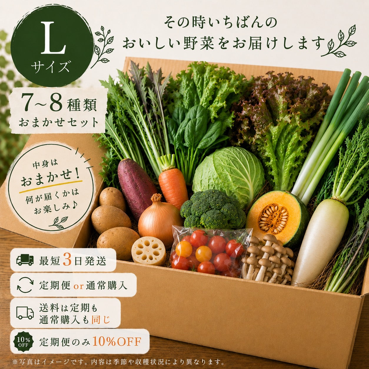 おまかせ野菜セットL【7種類～】
