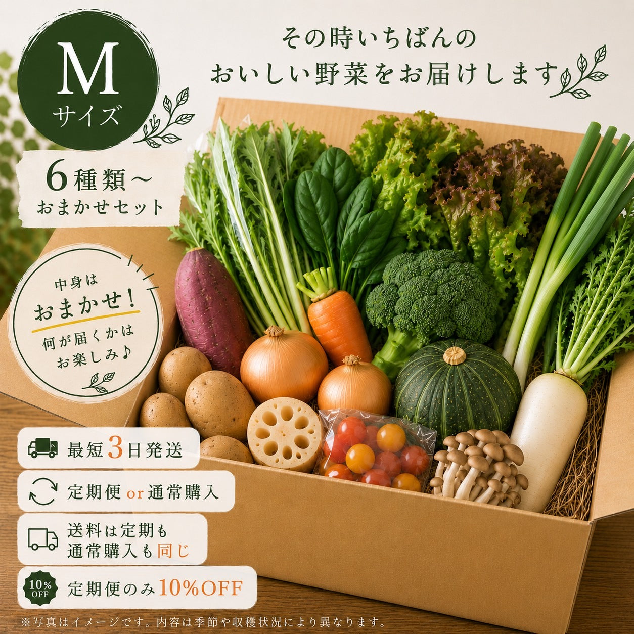 おまかせ野菜セットM【6種類～】