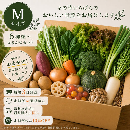 おまかせ野菜セットM【6種類～】
