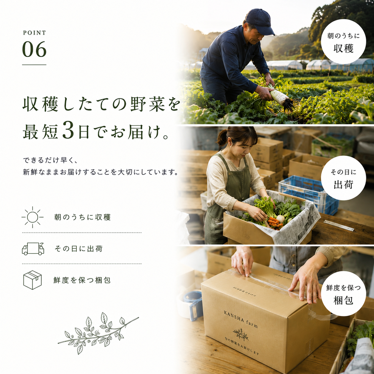 むすび日和【6種類～】