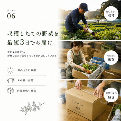 むすび日和【6種類～】