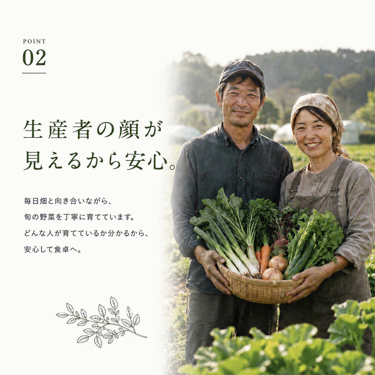 むすび日和【6種類～】