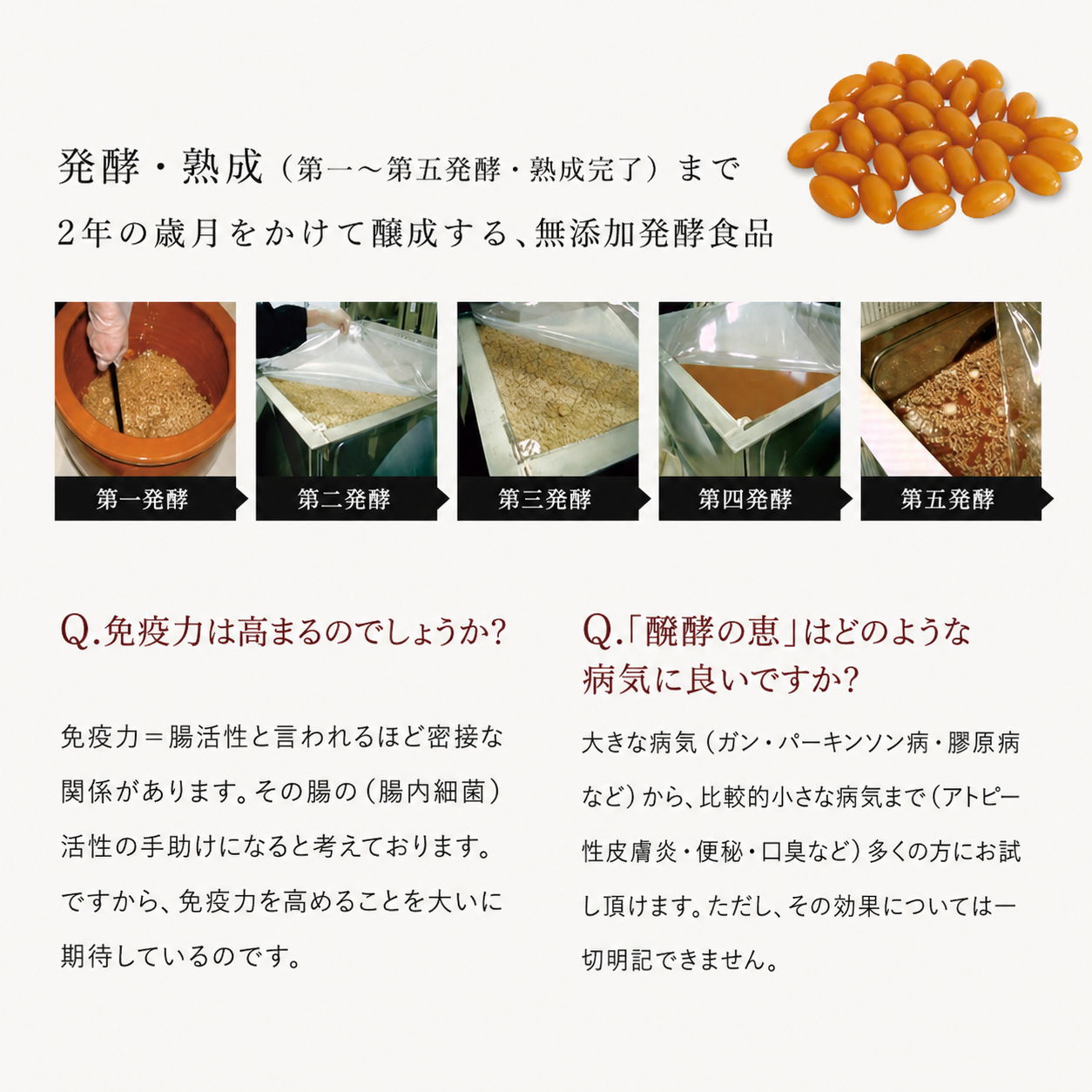 醍醐の恵