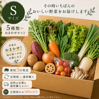 おまかせ野菜セットS【5種類～】