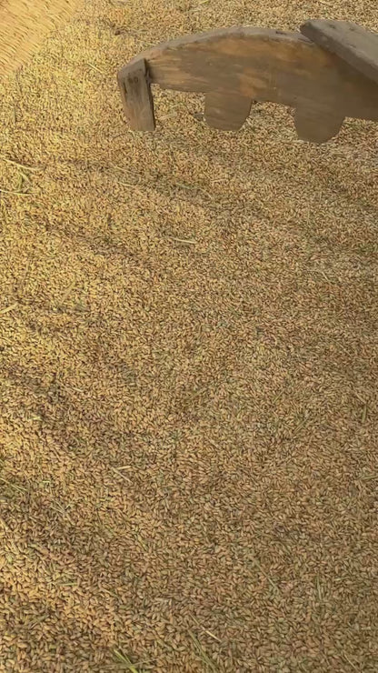 【2026年9月頃】天日干し夢つくし玄米（赤村産）